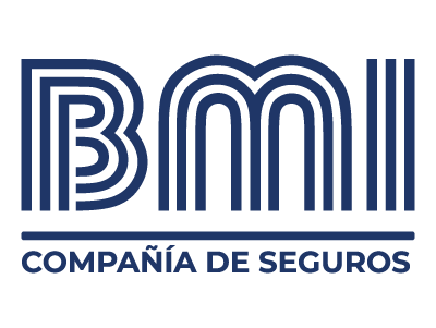 BMI